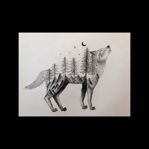 Wolf Drawing